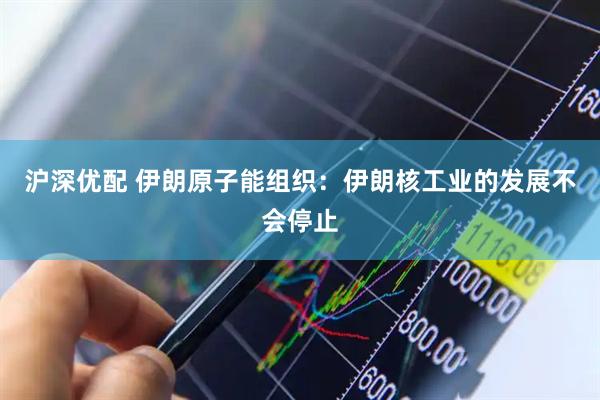 沪深优配 伊朗原子能组织：伊朗核工业的发展不会停止